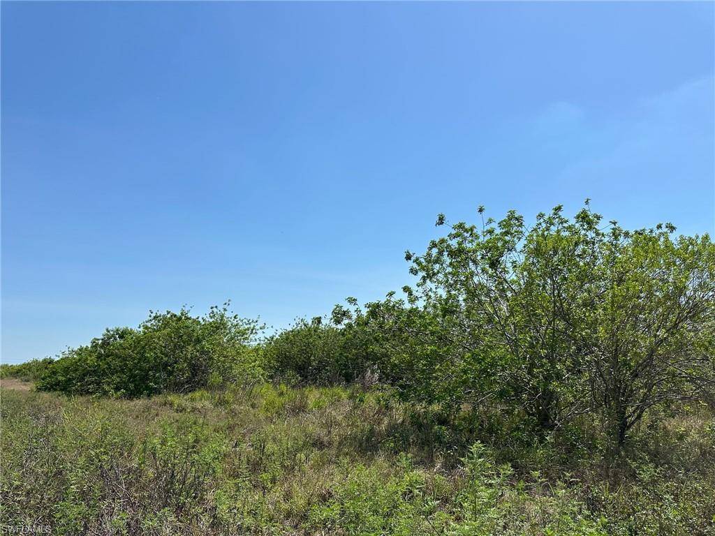 Labelle, FL 33935,6389 6th RD