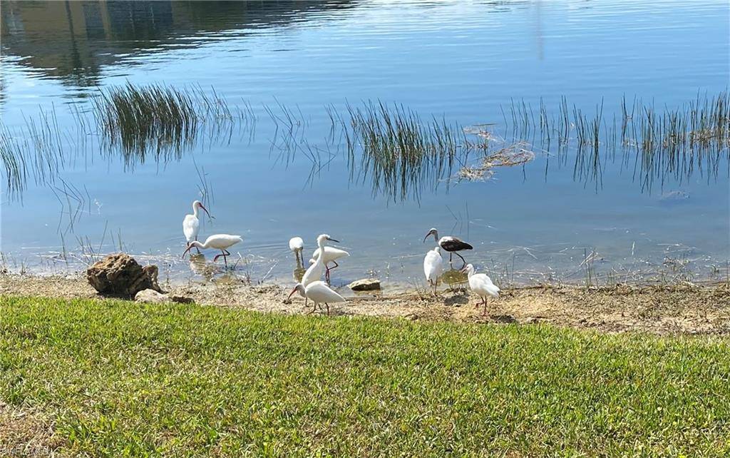 Naples, FL 34110,1250 Yesica Ann CIR #E106