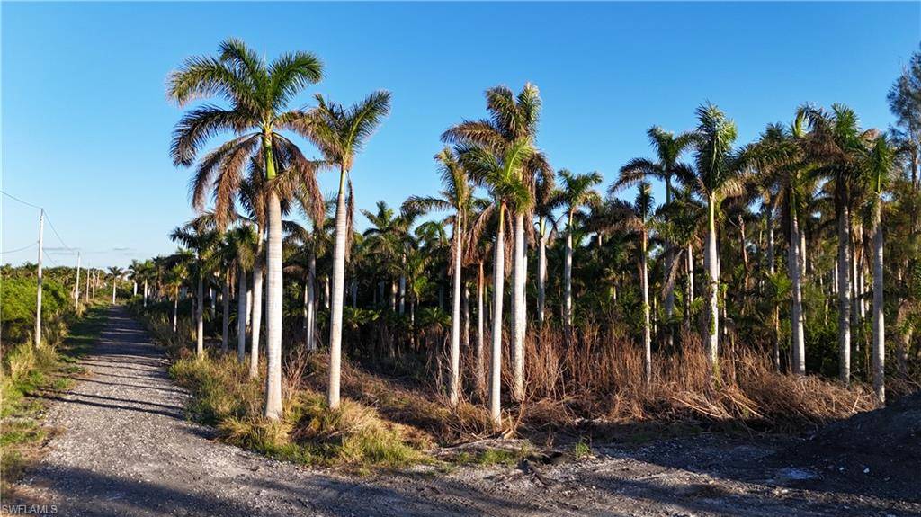 Bokeelia, FL 33922,12990 Samadani LN