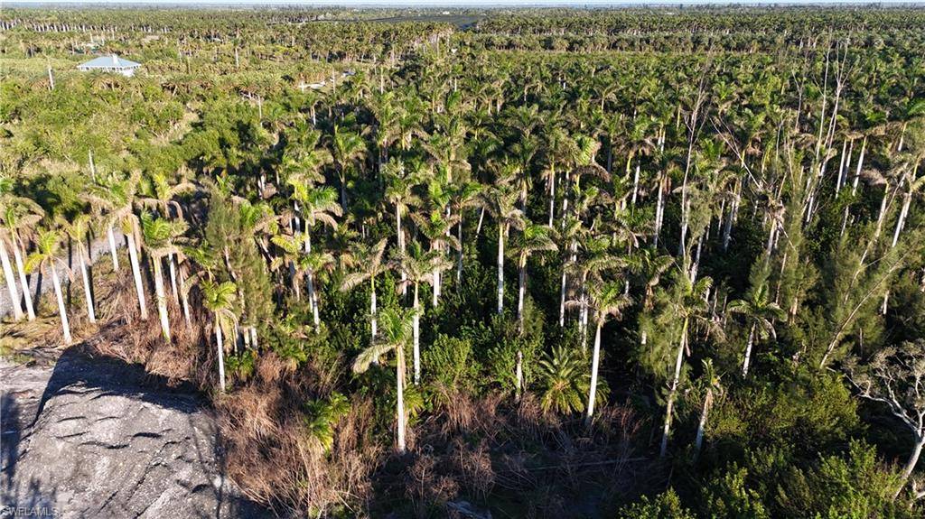 Bokeelia, FL 33922,12990 Samadani LN