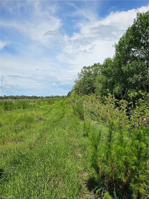 Labelle, FL 33935,Kirby Thompson RD