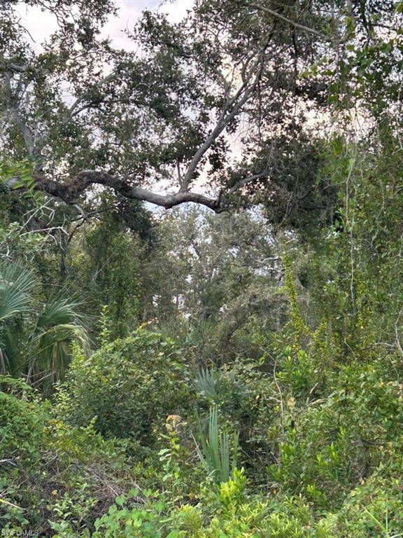 Punta Gorda, FL 33982,29431 Nottingham RD