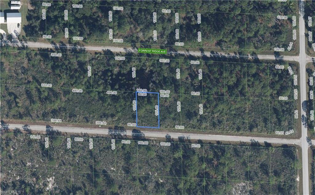Lake Placid, FL 33852,3413 Pheasant AVE