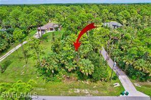 Naples, FL 34120,XXX 39 NE