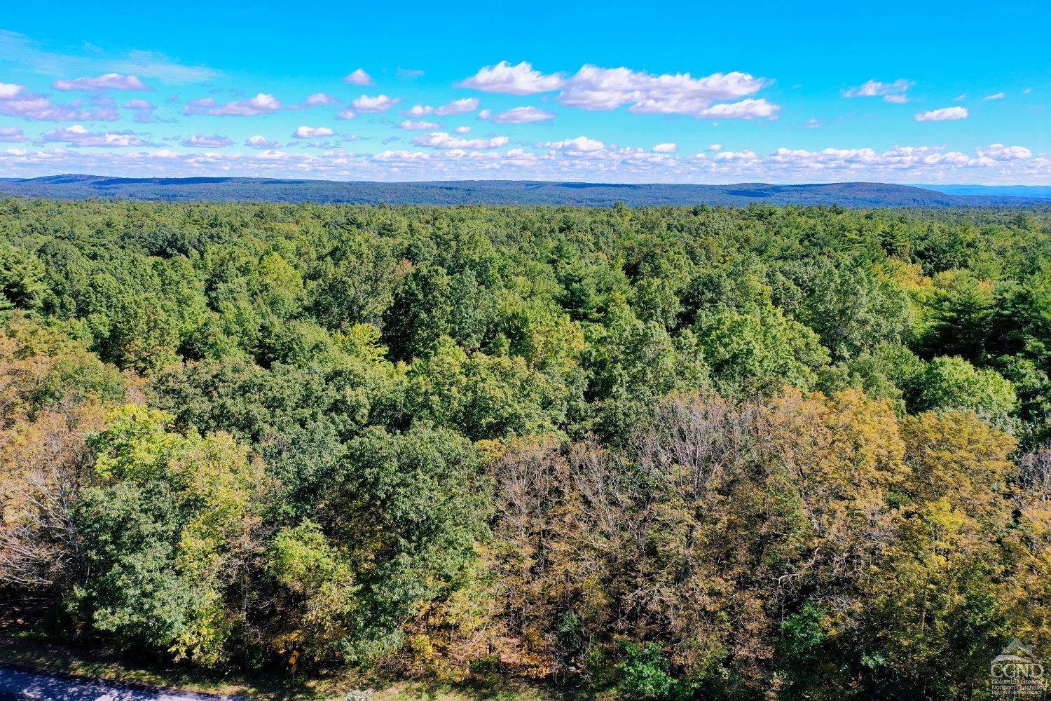 Cairo, NY 12413,204 Joel M. Austin RD