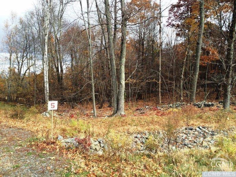 Copake, NY 12521,5 Stonegate off Birch Hill RD