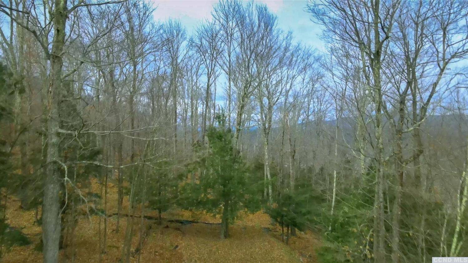 Windham, NY 12496,0 Club Road