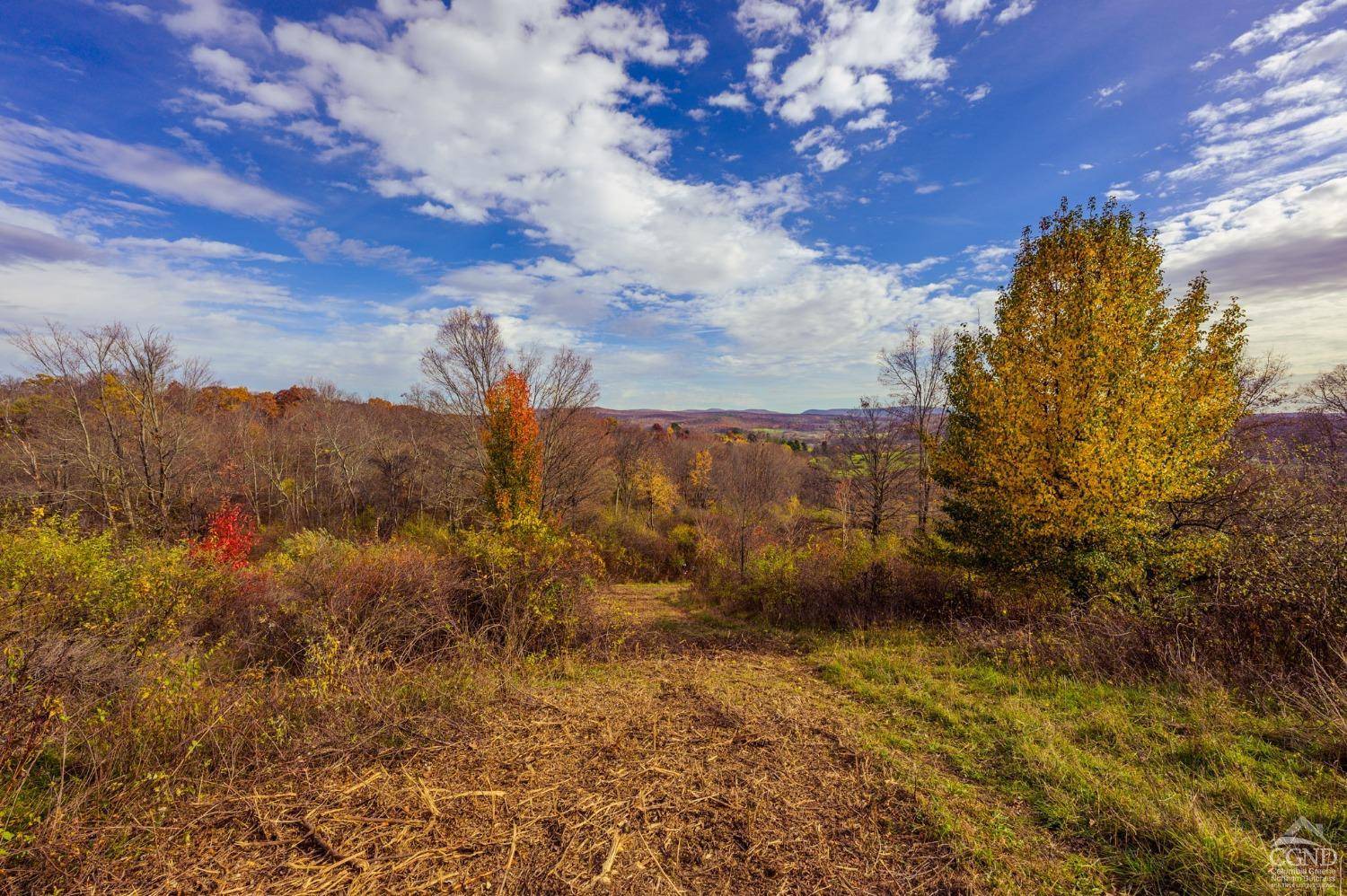 Hillsdale, NY 12529,4 Darling rd