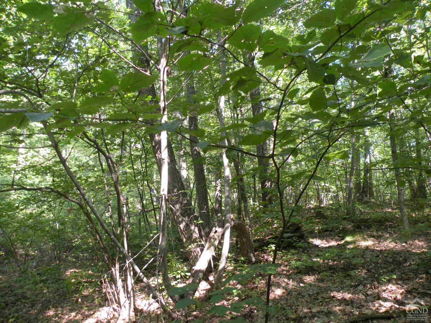 Millerton, NY 12546,622 Bean River Road