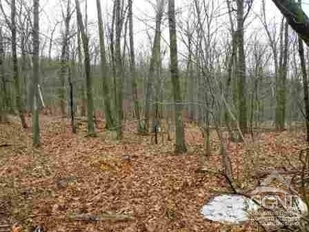 Millerton, NY 12546,622 Bean River Road
