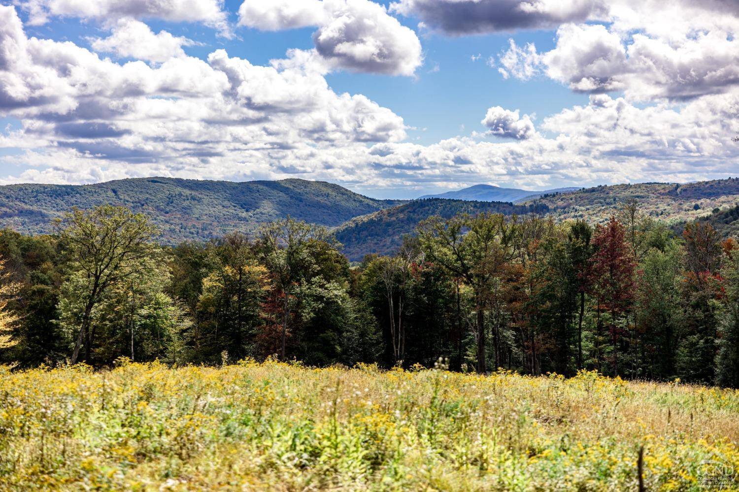Austerlitz, NY 12017,120 Route 203