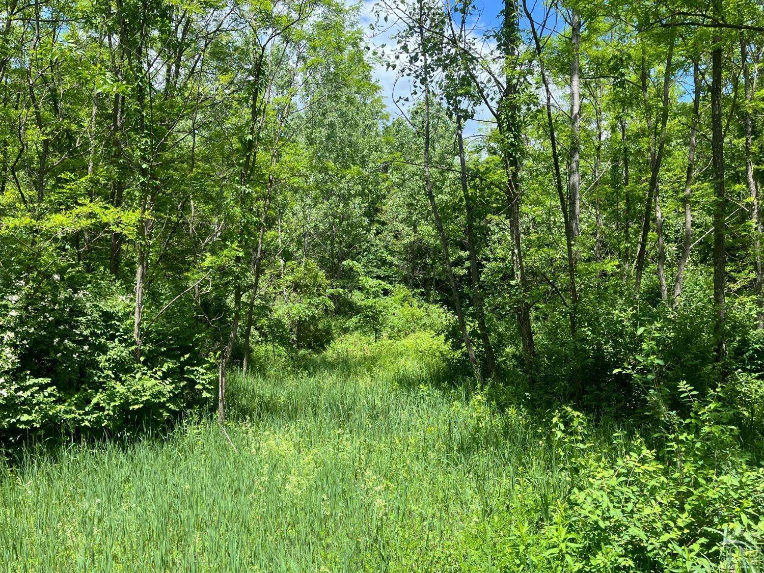 Cairo, NY 12413,0 CR 67
