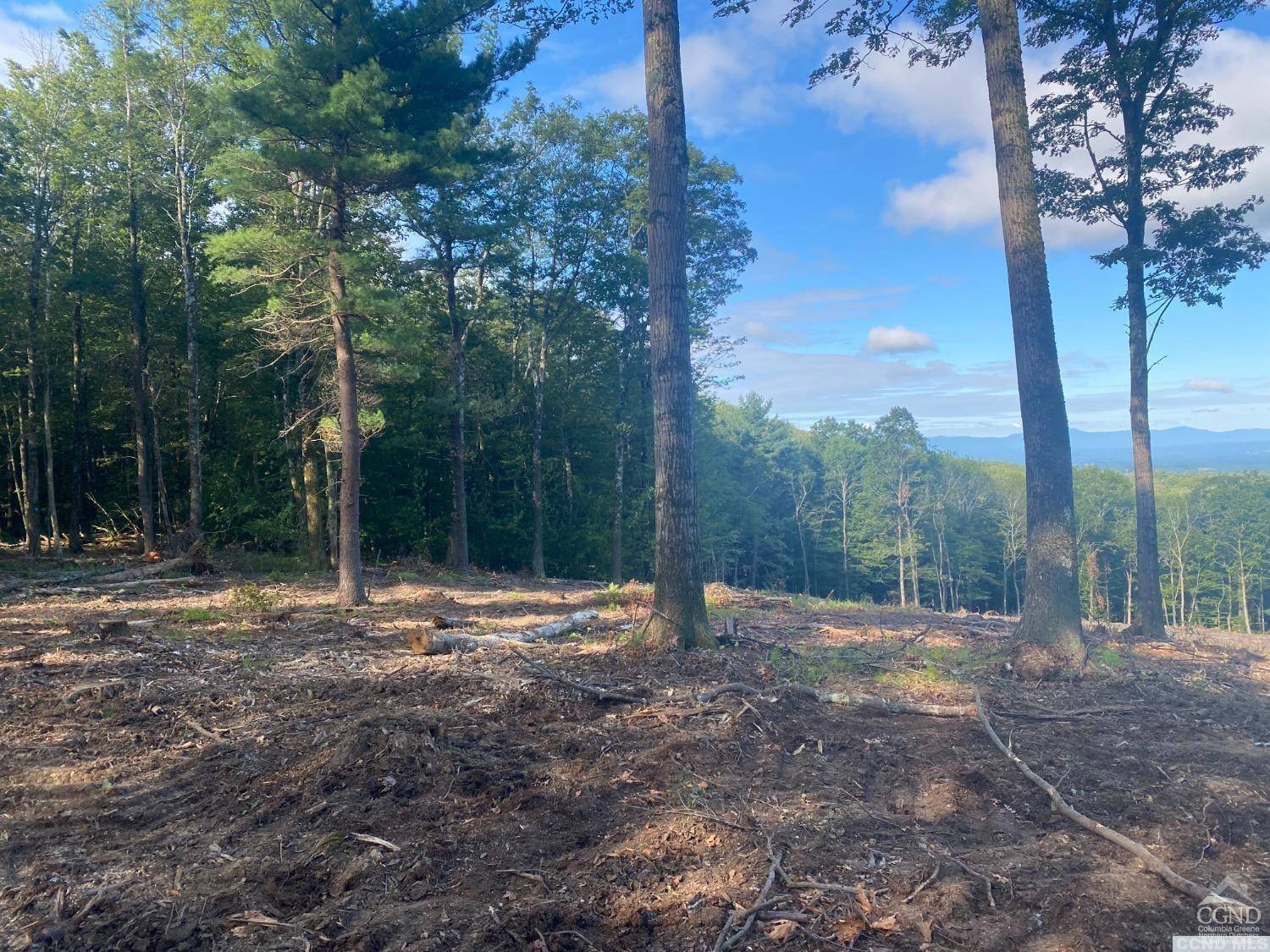 Austerlitz, NY 12017,0 Old Macedonia RD