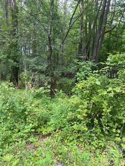 Athens, NY 12015,15 Ambassador CT