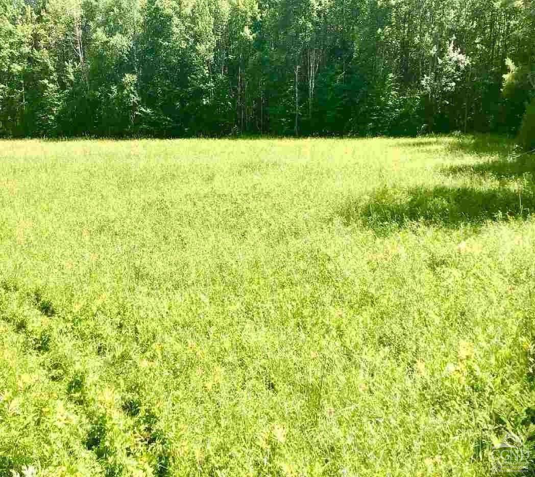 Gilboa, NY 12076,112 Cross Roads