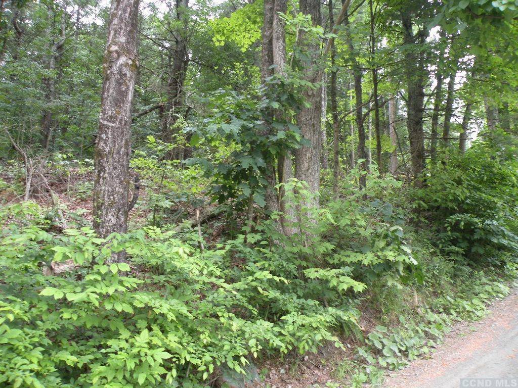 New Lebanon, NY 12125,0 Frenchs  Hill RD