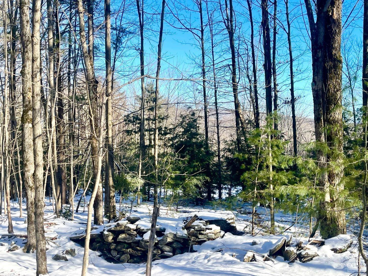 Jewett, NY 12444,0 Tower Mountain RD