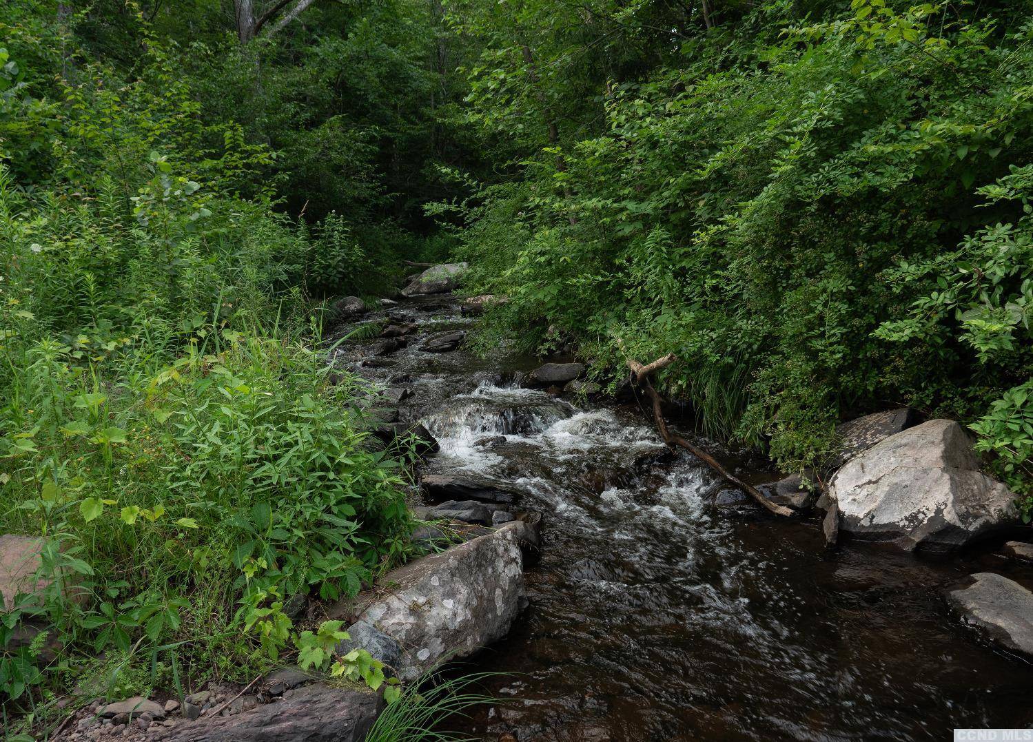 Windham, NY 12496,5134 Route 23