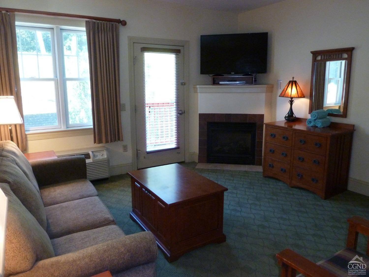 Hunter, NY 12442,62 Liftside DR #313G4