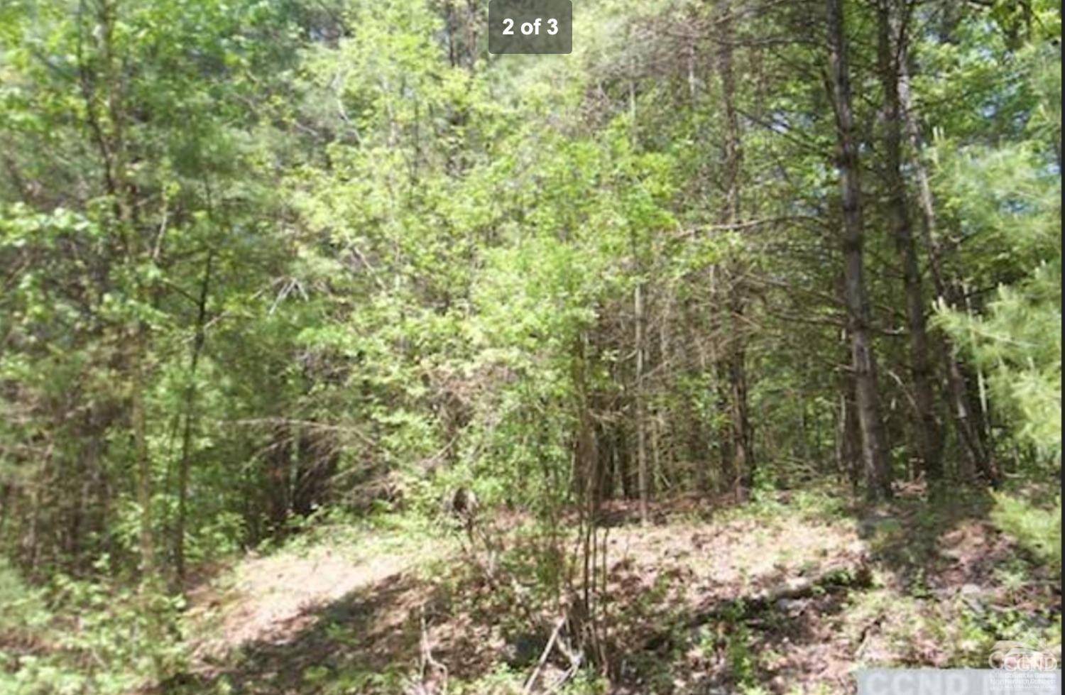 Chatham, NY 12037,0 Engel RD