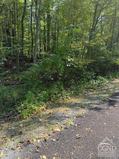 Athens, NY 12015,54 Tommy Trail