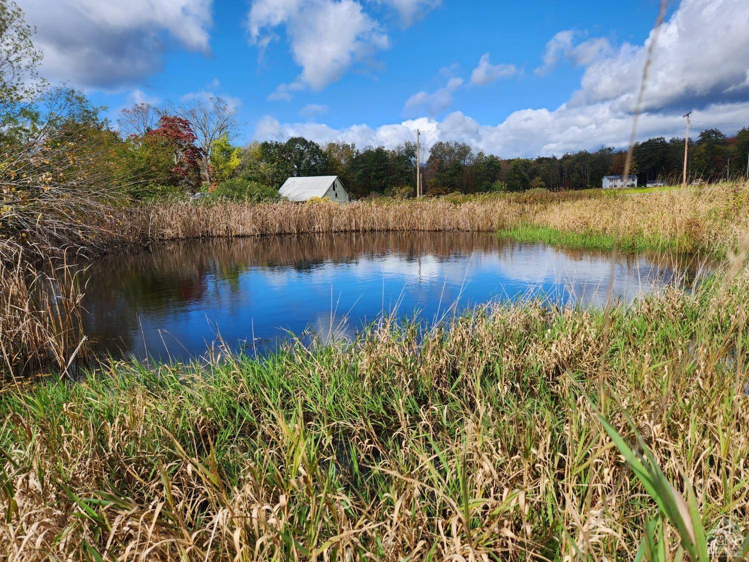 New Lebanon, NY 12125,0 County Route 9