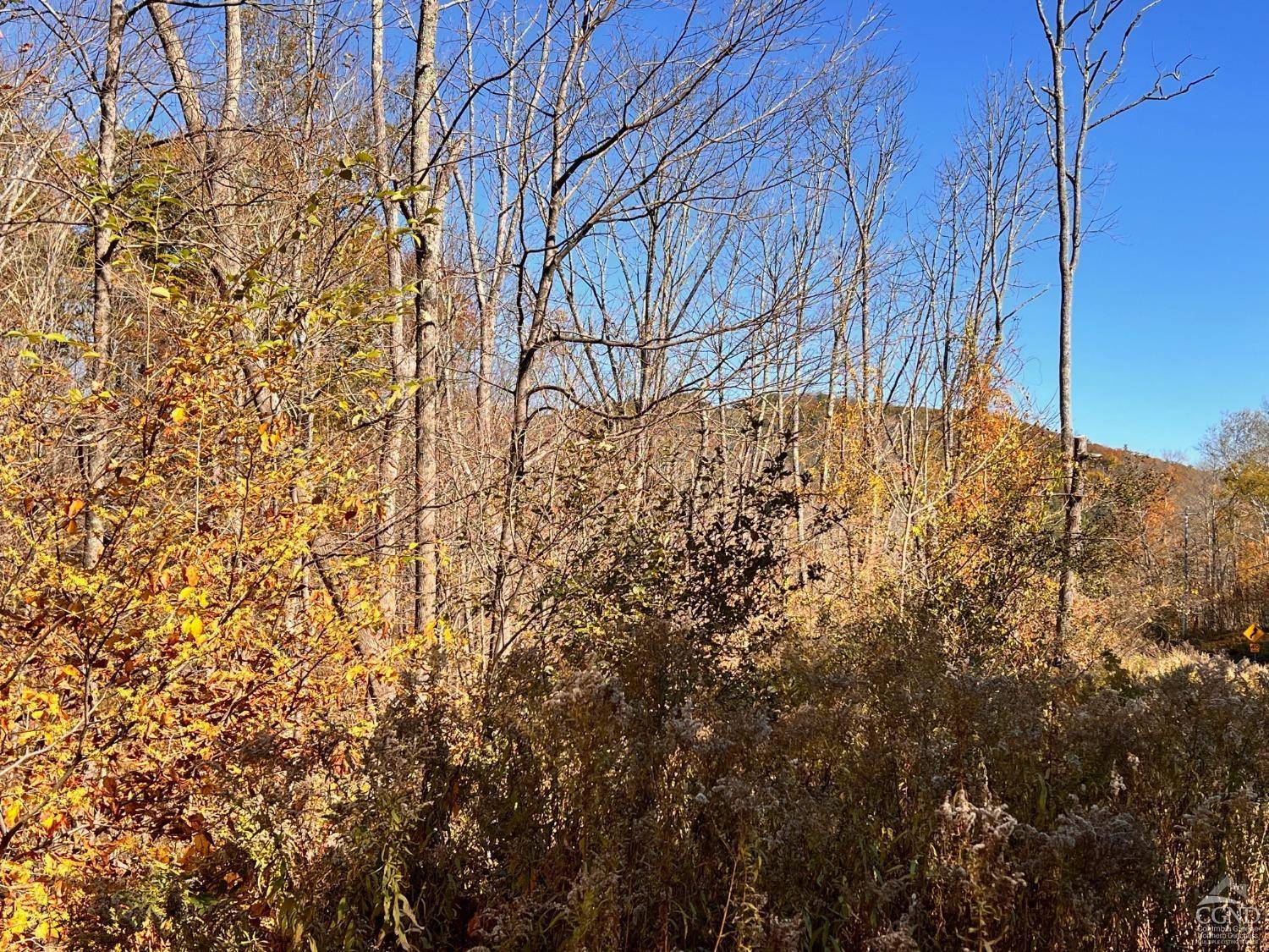 Hillsdale, NY 12529,61 Dugway RD
