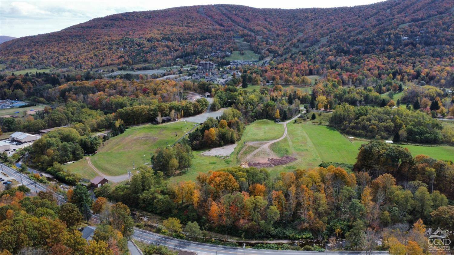 Windham, NY 12496,0 South Street