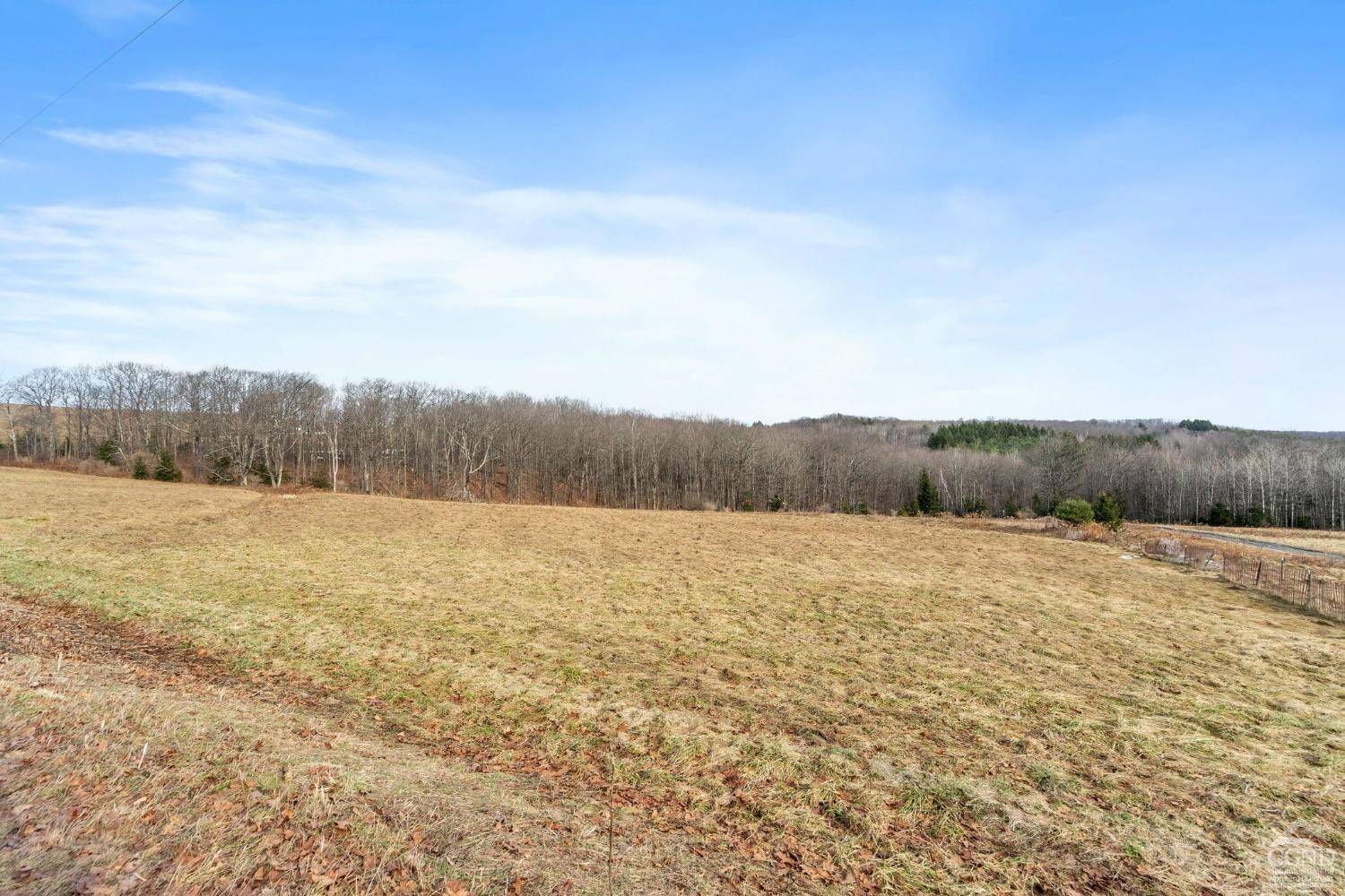 Rensselaerville, NY 12147,0 County Route