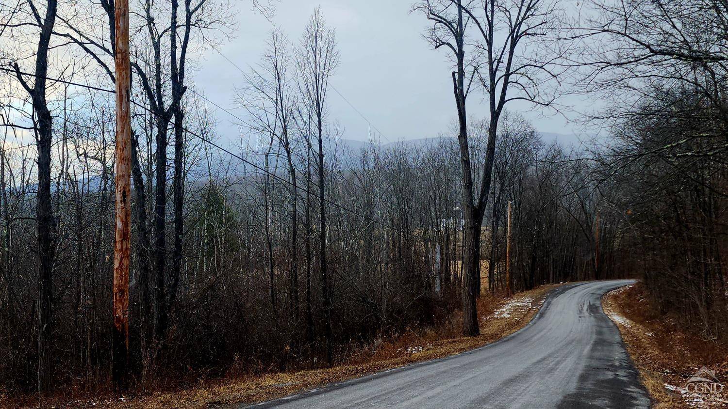Durham, NY 12423,0 Route 20 & Prink Hill