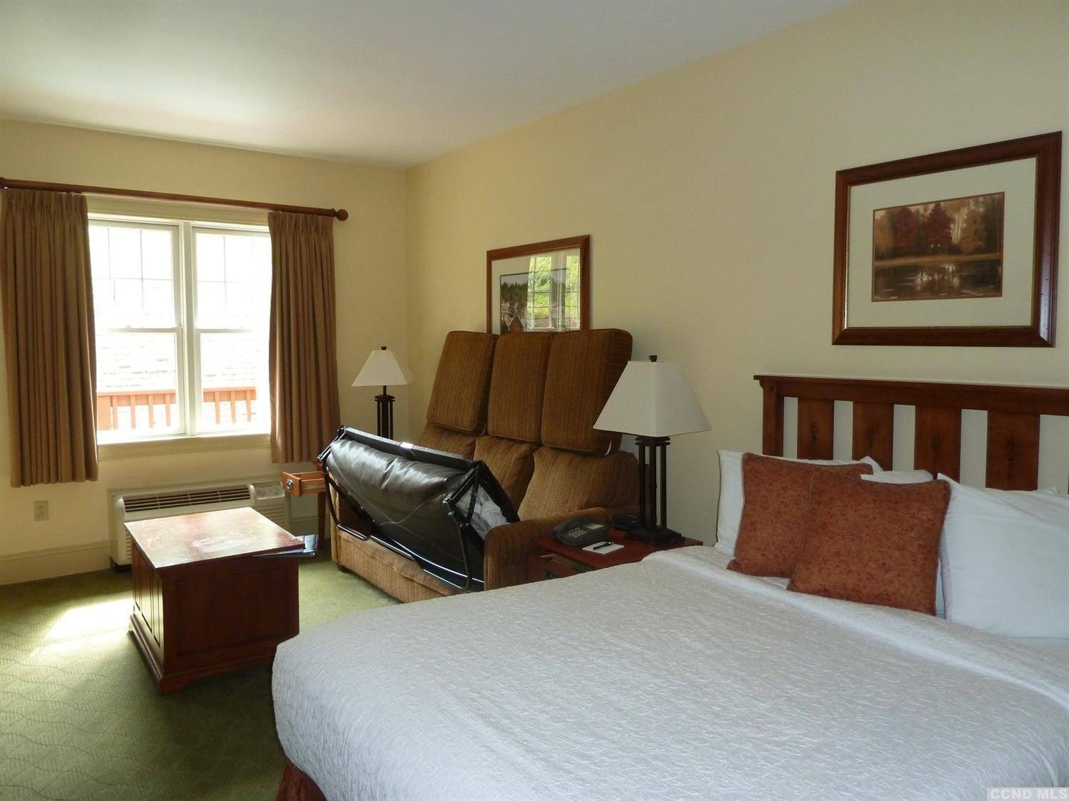 Hunter, NY 12442,62 Liftside DR #401F4