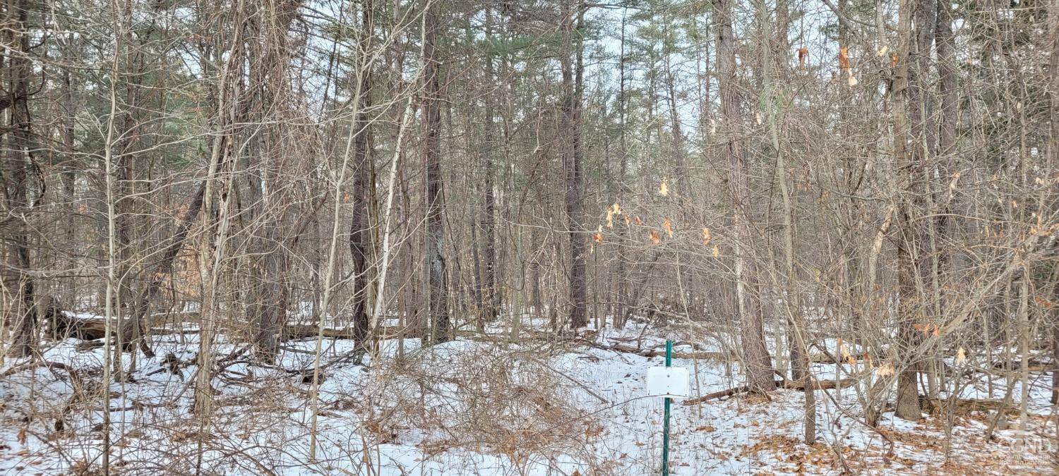 Durham, NY 12423,0 Watcher blvd