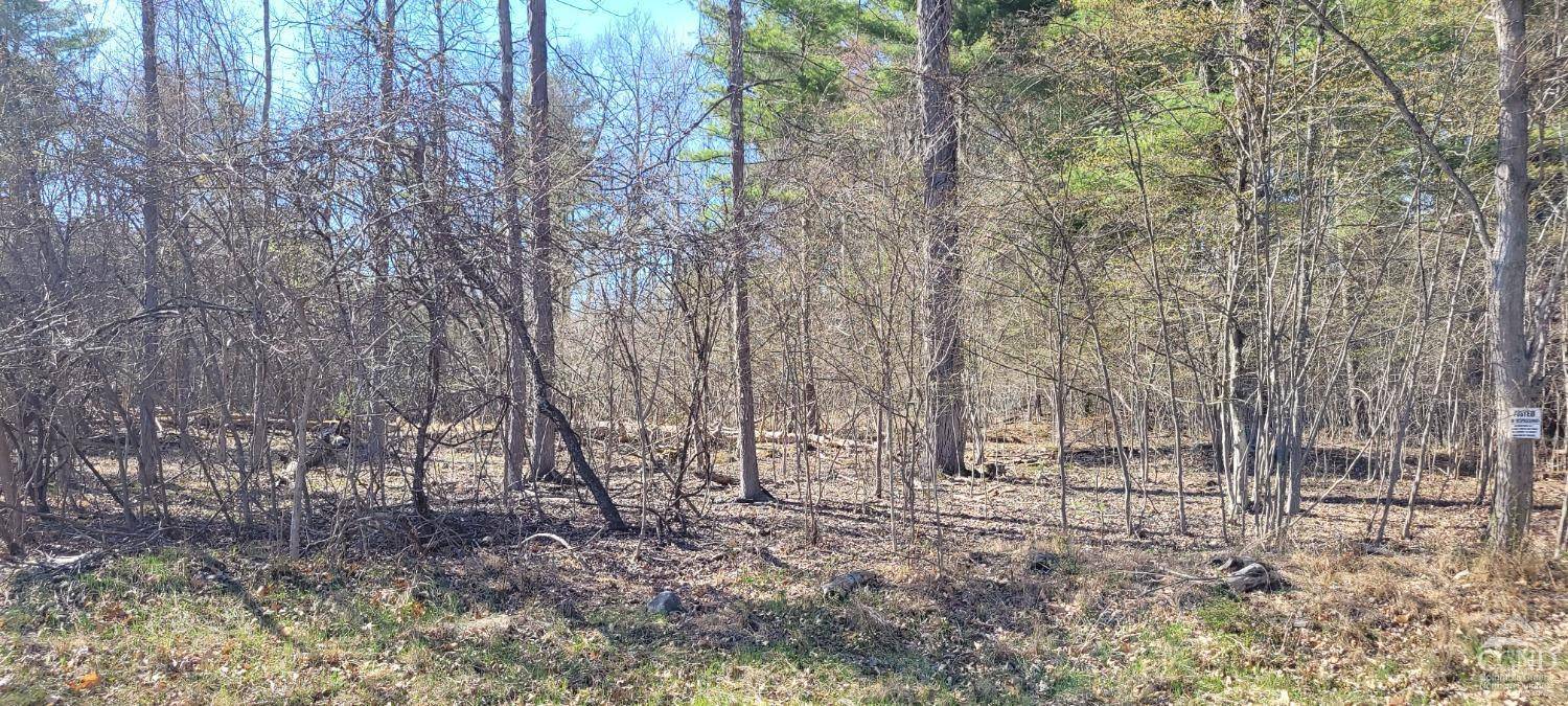 Durham, NY 12423,0 Watcher blvd