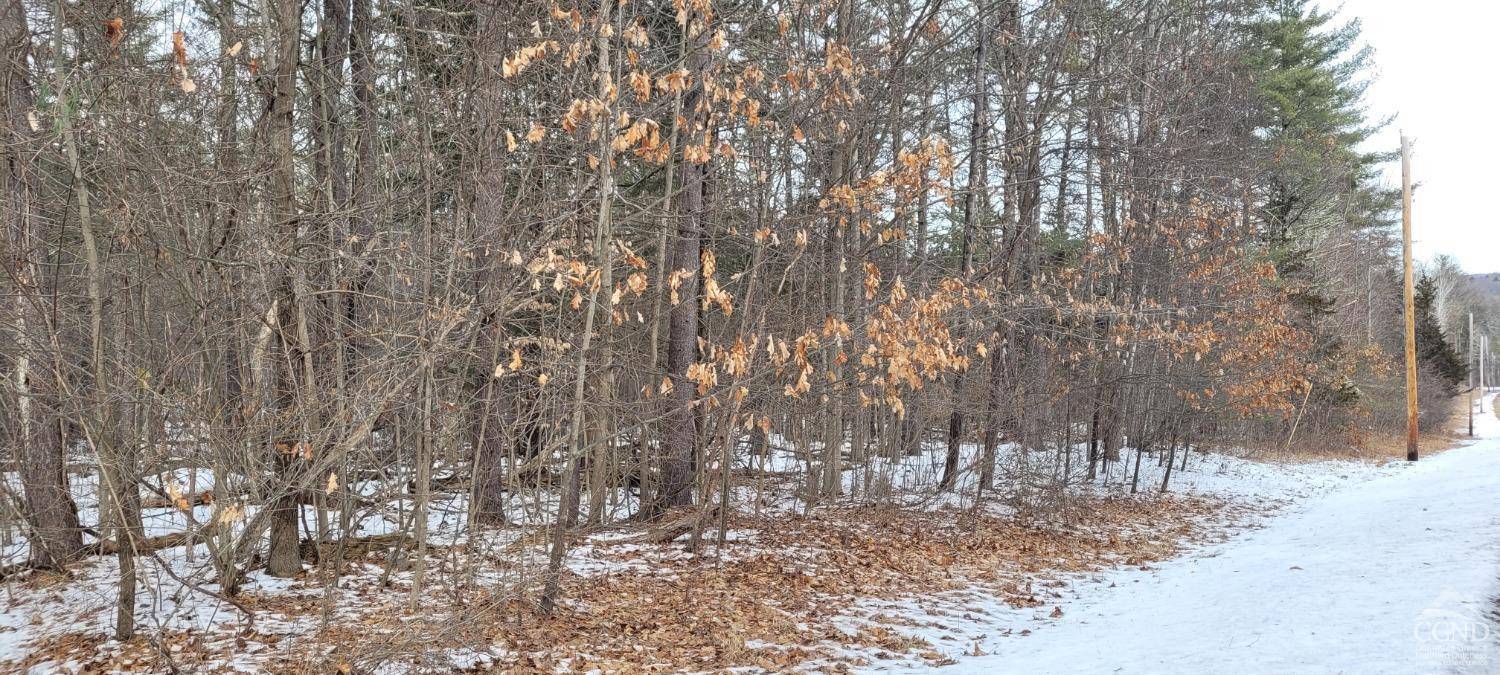 Durham, NY 12423,0 Watcher blvd