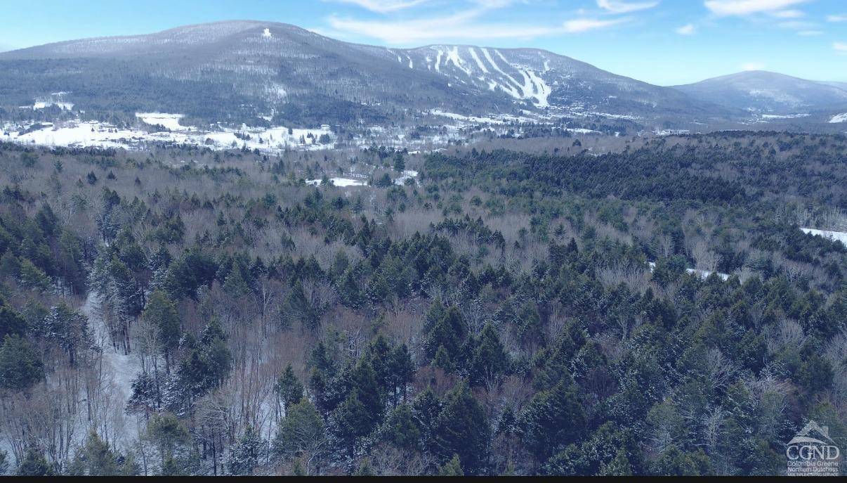 Windham, NY 12496,65 Sundance Drive