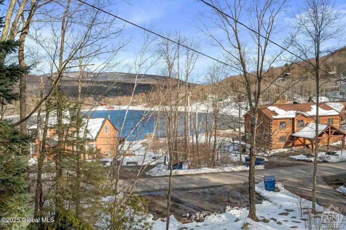 Hunter, NY 12442,239 Pine LN