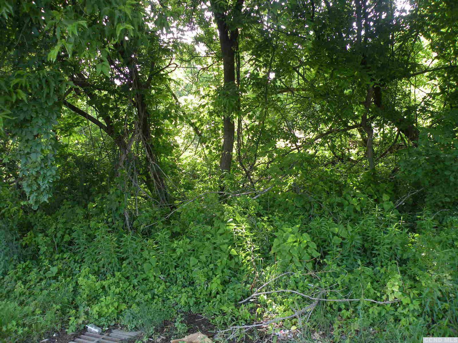 Catskill, NY 12414,0 23A  & 9W