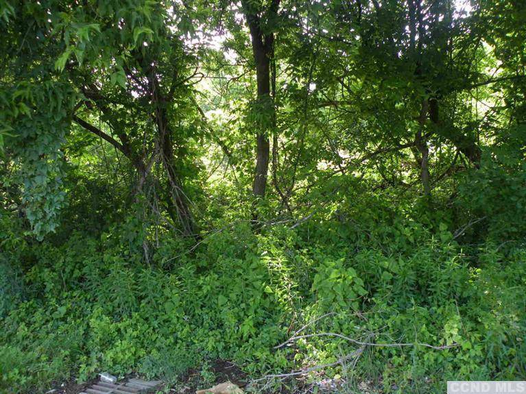 Catskill, NY 12414,0 9W