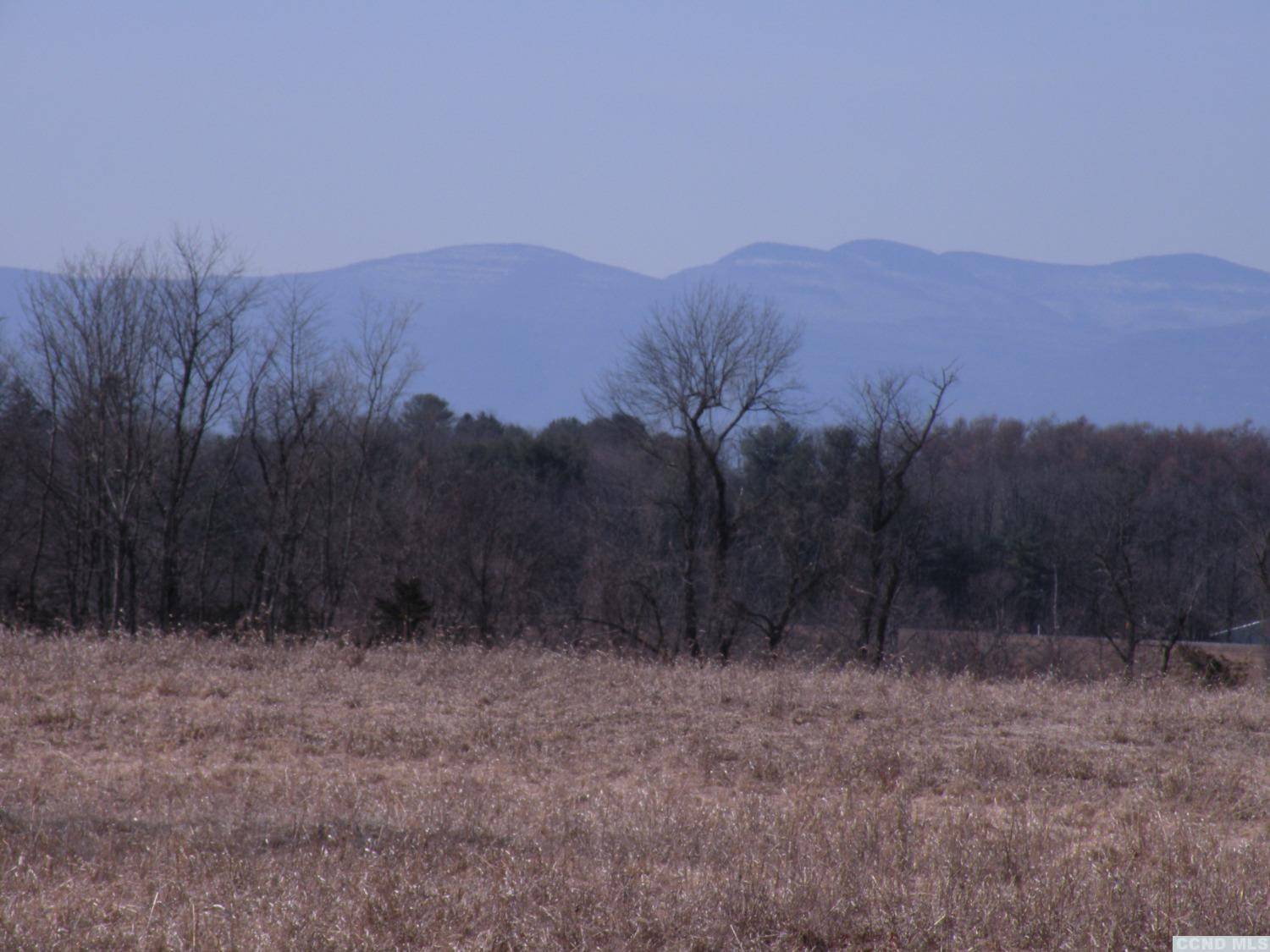 Livingston, NY
