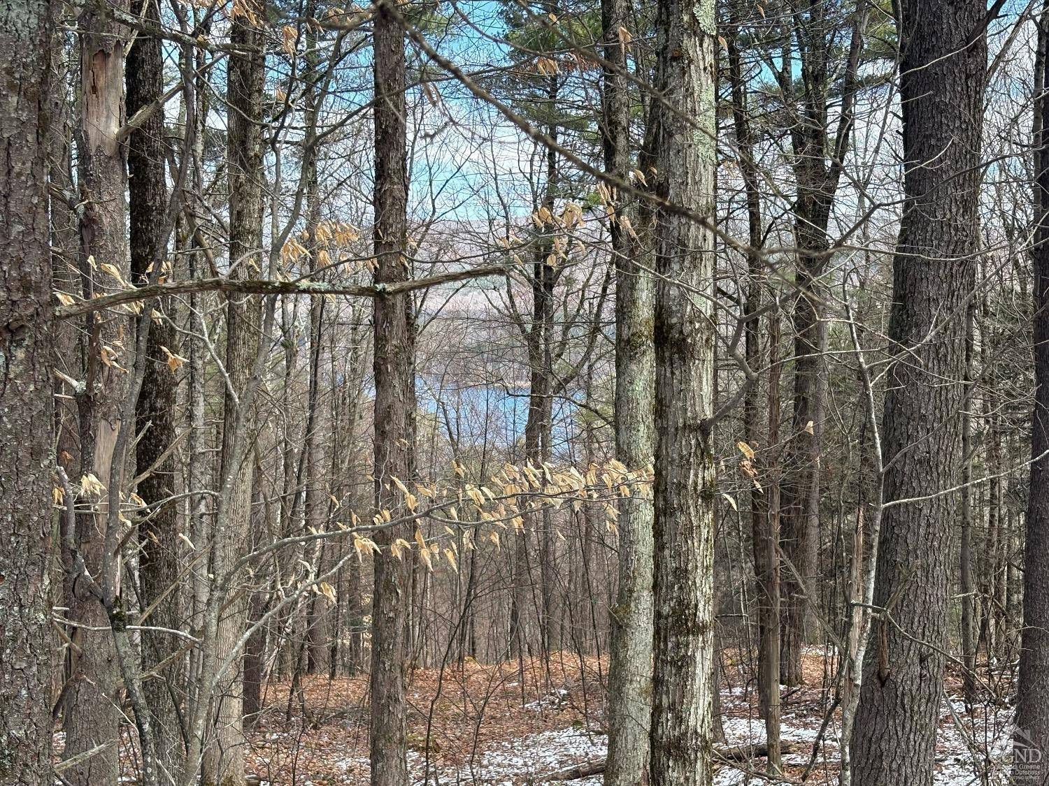 Canaan, NY 12029,2320 Route 295