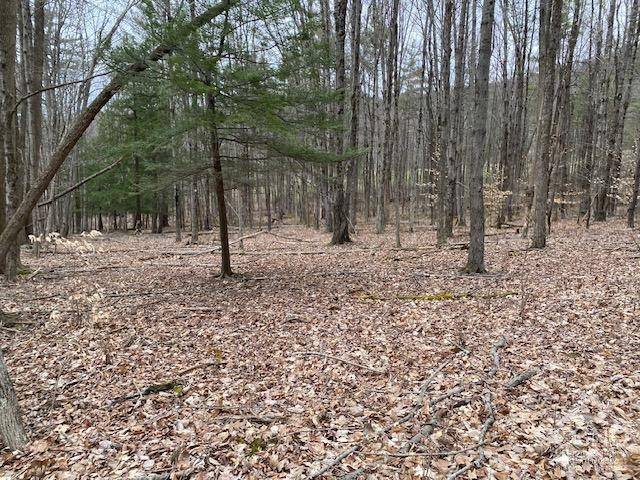 East Nassau, NY 12062,255 Covenant CIR