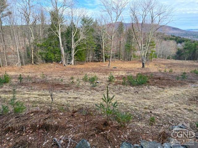 Ashland, NY 12407,0 Campbell RD