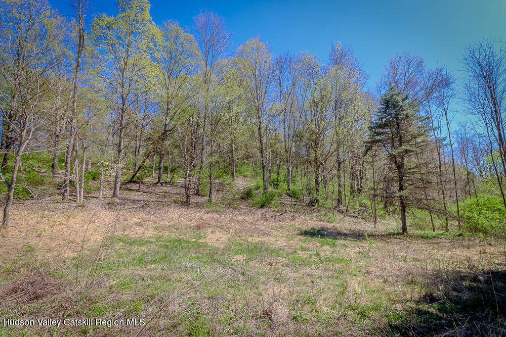 Hollowville, NY 12530,292 County Rt 27b