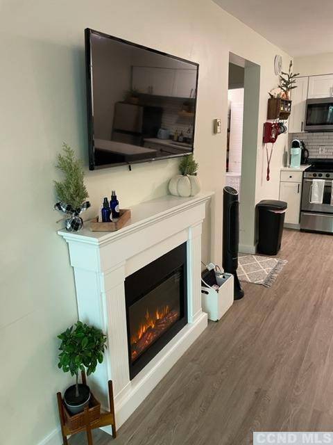 Hunter, NY 12442,64 Highlands DR #D 2