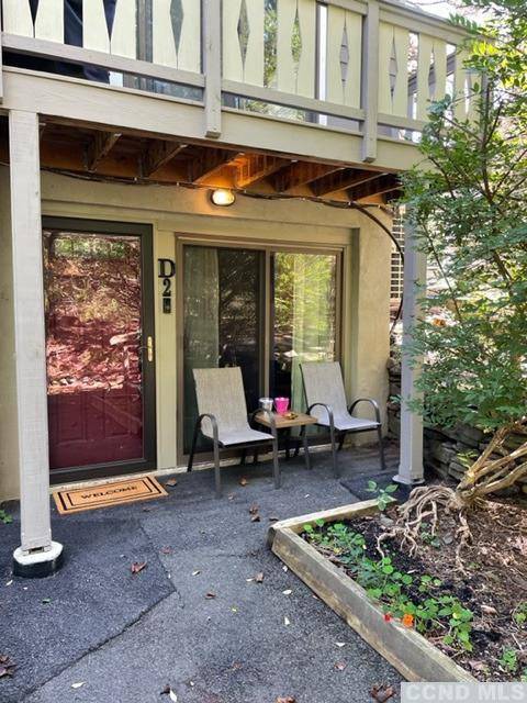 Hunter, NY 12442,64 Highlands DR #D 2