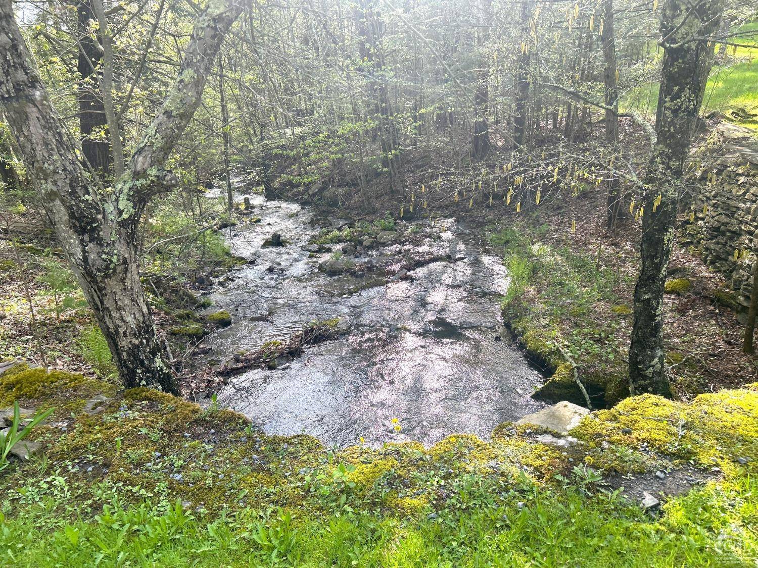 Prattsville, NY 12468,169 rt. 4