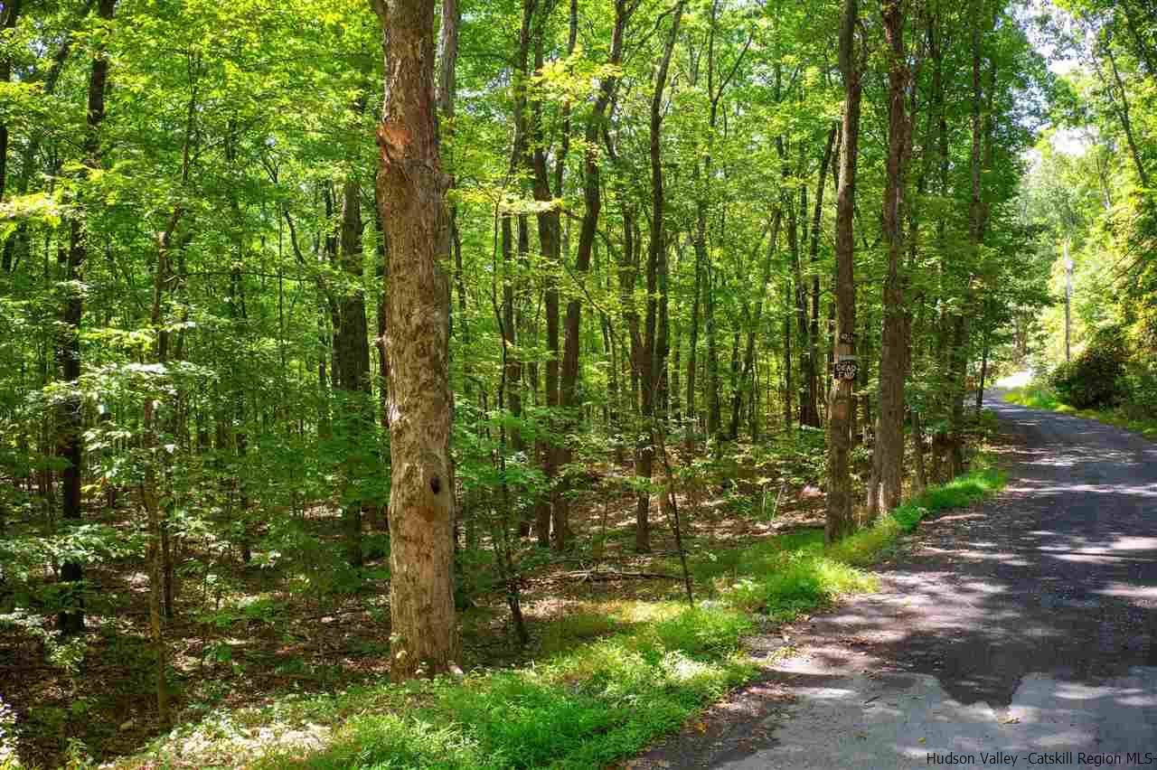 Catskill, NY 12414,264 Foster RD