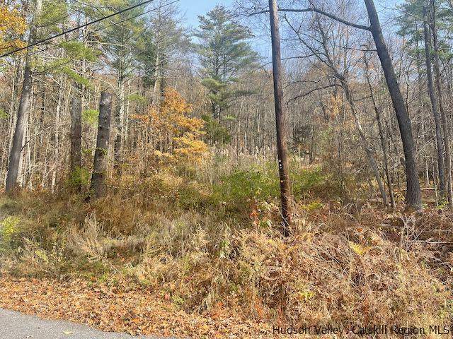 Catskill, NY 12184,103 Underhill RD