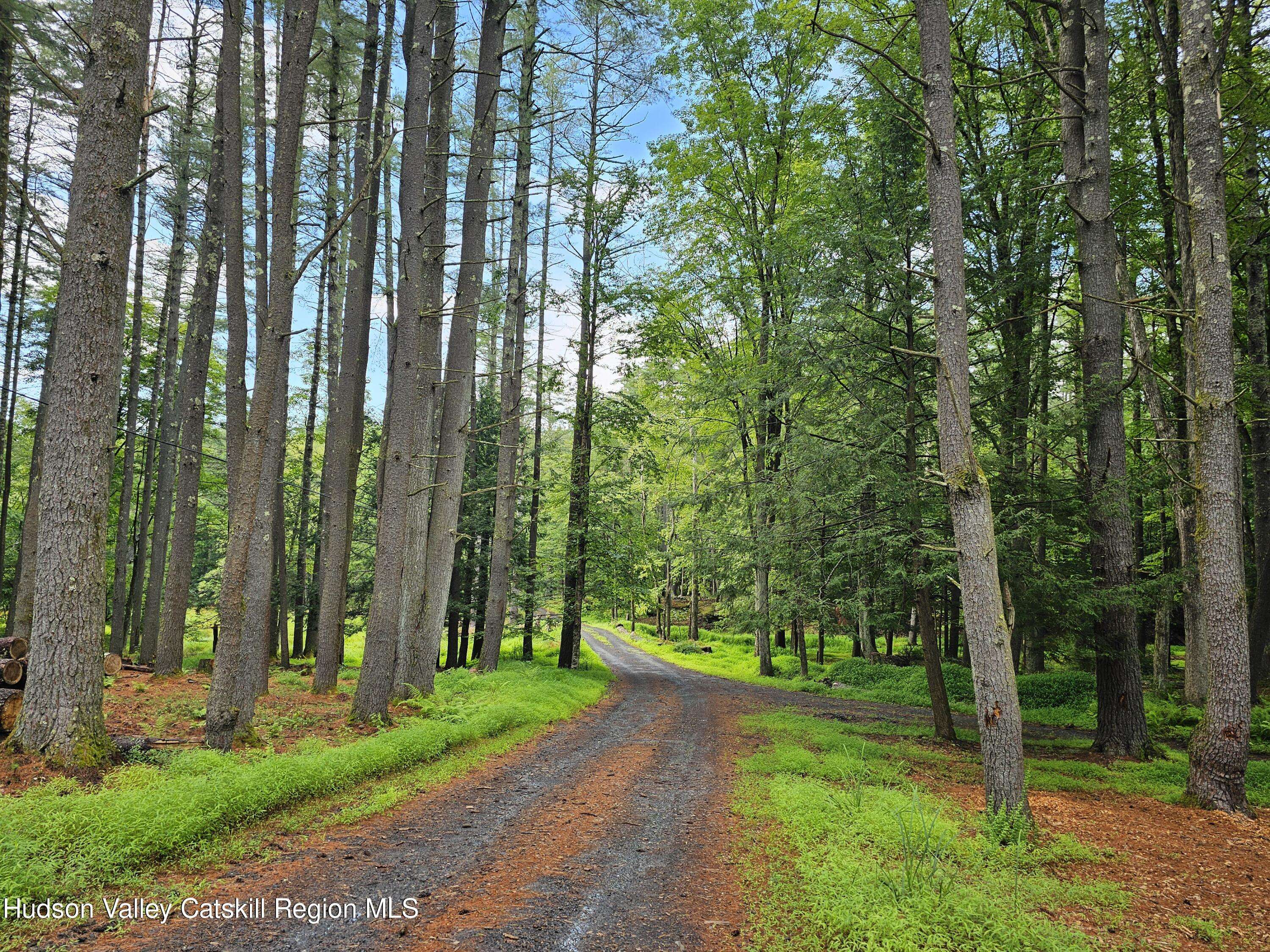 Woodstock, NY 12498,272 Yerry Hill RD #Studio
