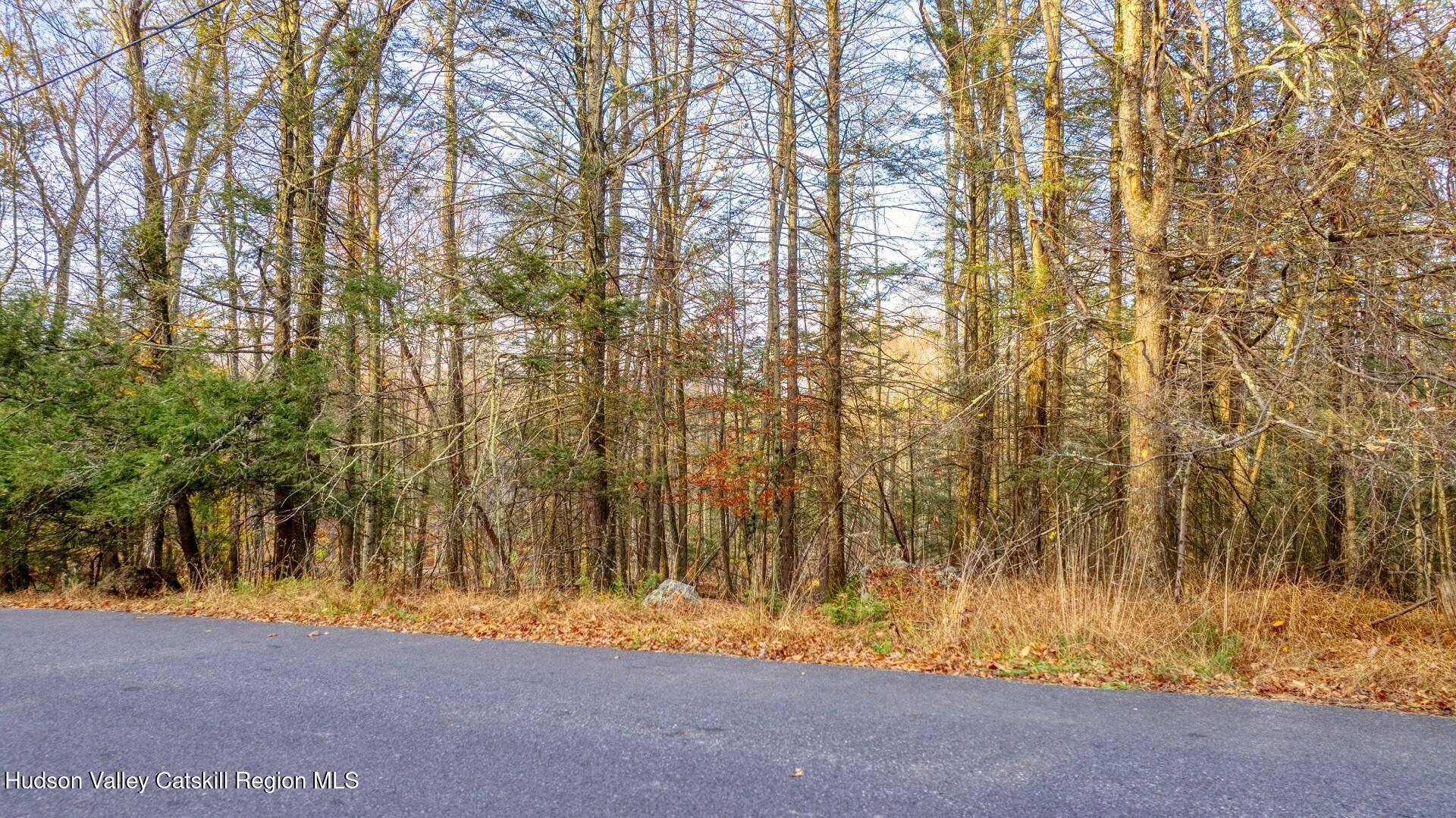 Stone Ridge, NY 12484,Tbd Cherry Hill Lot #2 RD